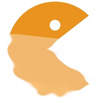 Eindverslag CGC 2010-2011