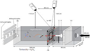 Experimental wind tunnel setup