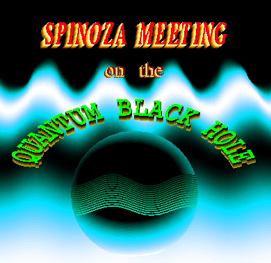 Spinoza Meeting on the Quantum Black Hole