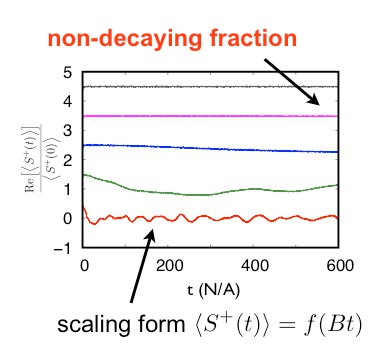 Non-decaying coherent fraction in central spin model